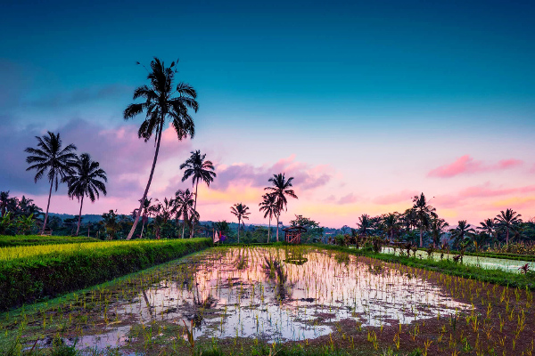 ഇന്നത്തെ (25.03.2020) സങ്കല്പ പാഠം