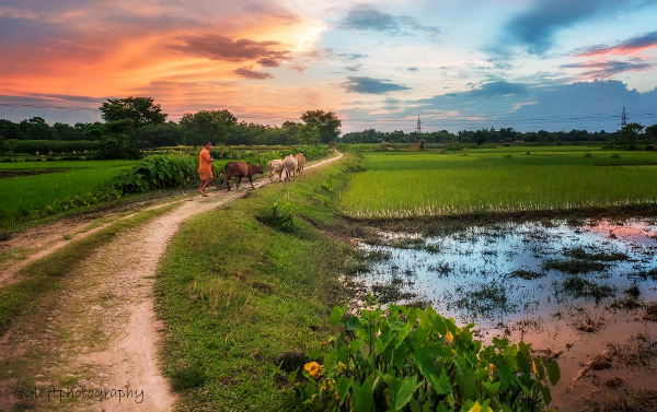 ഇന്നത്തെ (13.08.2021) സങ്കല്പ പാഠം