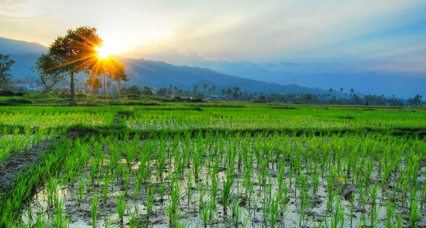 ഇന്നത്തെ (06.08.2020) സങ്കല്പ പാഠം