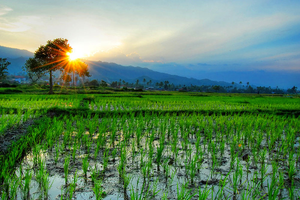 ഇന്നത്തെ (14.09.2020) സങ്കല്പ പാഠം