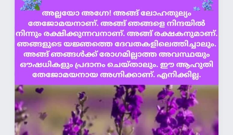 വേദസന്ദേശം