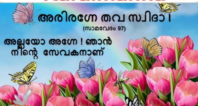 വേദസന്ദേശം   