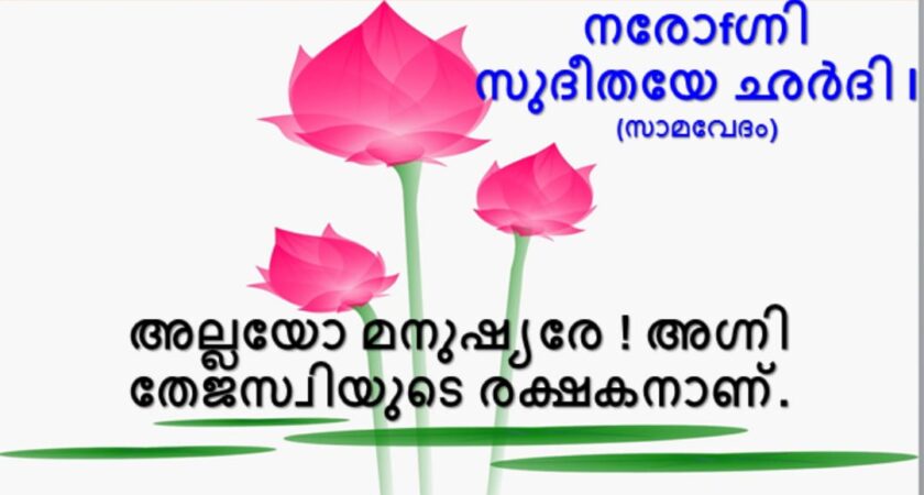 വേദസന്ദേശം