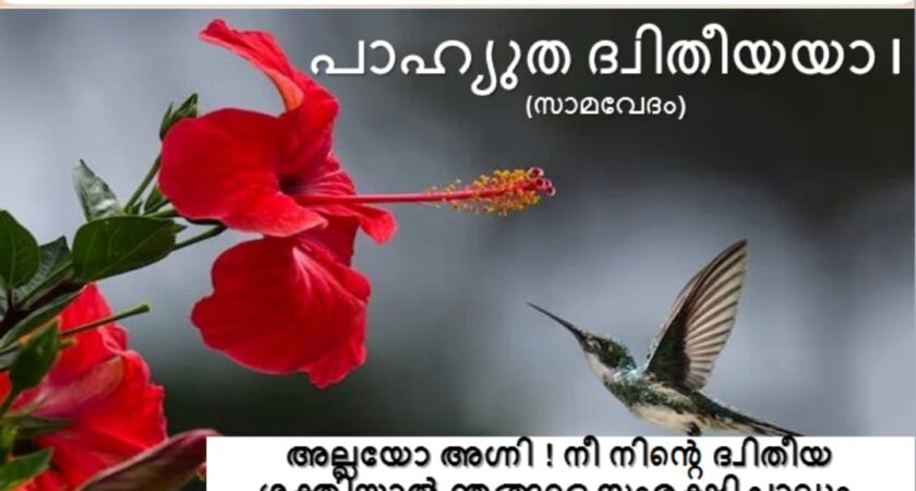 വേദസന്ദേശം