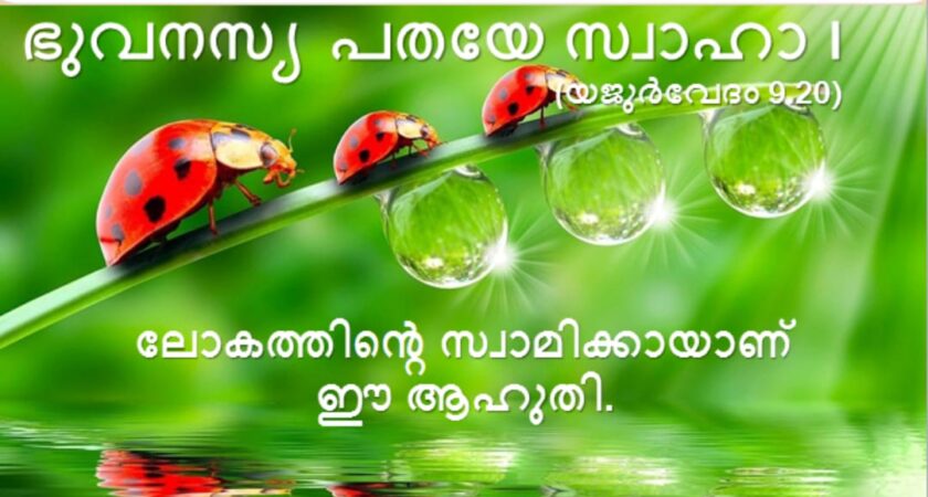 വേദസന്ദേശം