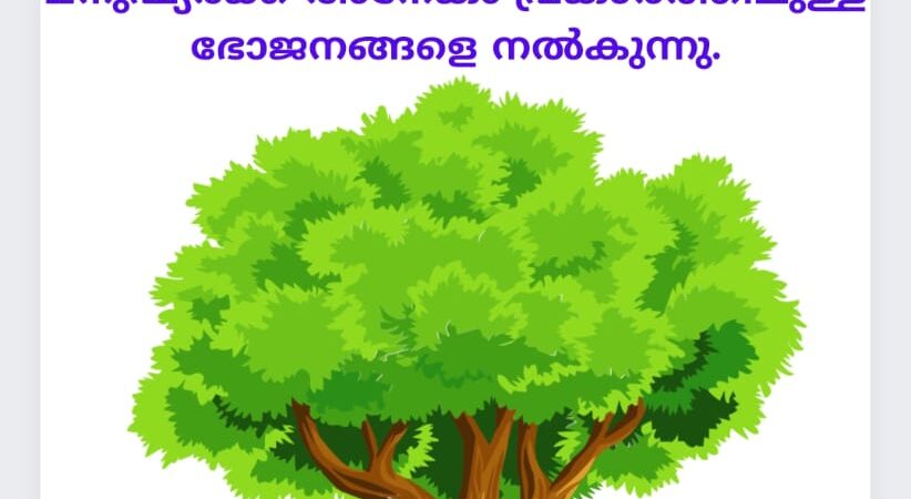 വേദസന്ദേശം