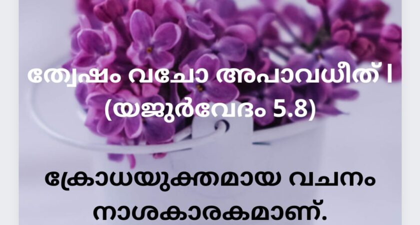 വേദസന്ദേശം