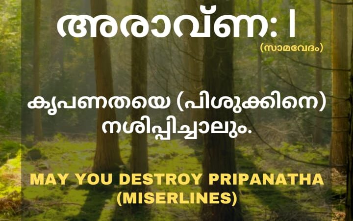 വേദസന്ദേശം   