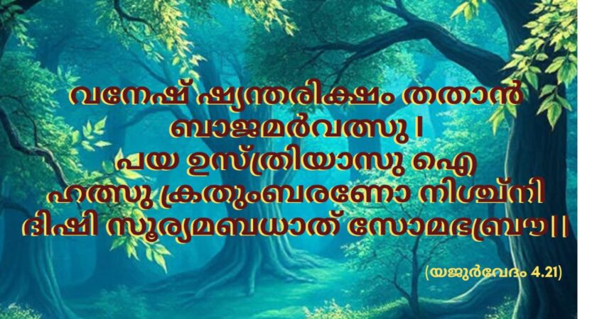 ഇന്നത്തെ വേദസ്വാധ്യായം