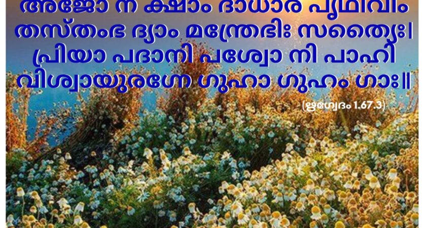 ഇന്നത്തെ വേദസ്വാധ്യായം