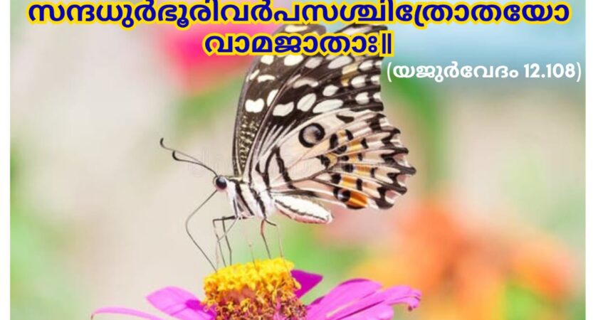 ഇന്നത്തെ വേദസ്വാധ്യായം