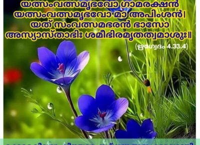 ഇന്നത്തെ വേദസ്വാധ്യായം