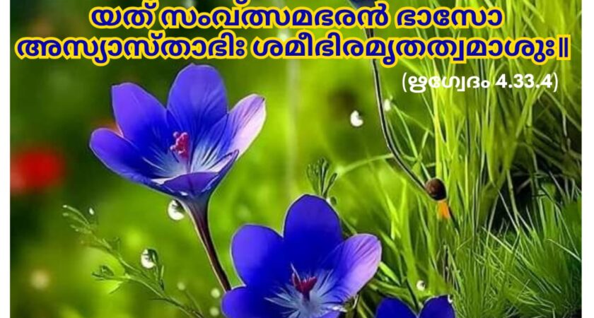 ഇന്നത്തെ വേദസ്വാധ്യായം